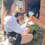 Dolina Miodu - Agro Kaszuby, Sauna, Balia Lantgård *