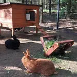 Lantgård Dolina Miodu - Agro Kaszuby, Sauna, Balia *