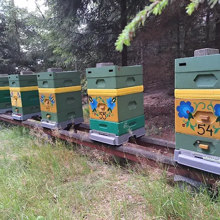 Farmház Dolina Miodu - Kaszuby, Sauna, Goraca Balia Borowina