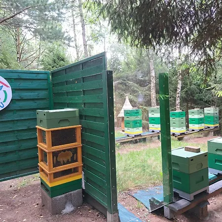 Farmház Dolina Miodu - Kaszuby, Sauna, Goraca Balia