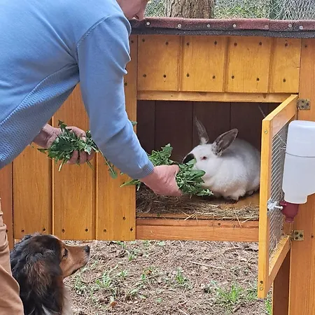 Dolina Miodu - Kaszuby, Sauna, Goraca Balia * Borowina
