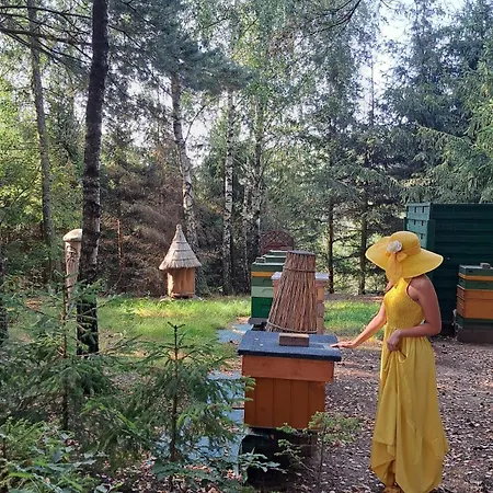 Dolina Miodu - Kaszuby, Sauna, Goraca Balia Çiftlik konaklama Borowina