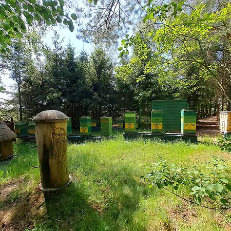 Dolina Miodu - Agro Kaszuby, Sauna, Balia * Borowina
