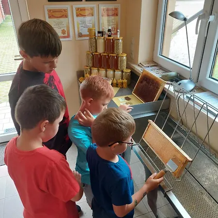 Vakantieboerderij Dolina Miodu - Agro Kaszuby, Sauna, Balia *