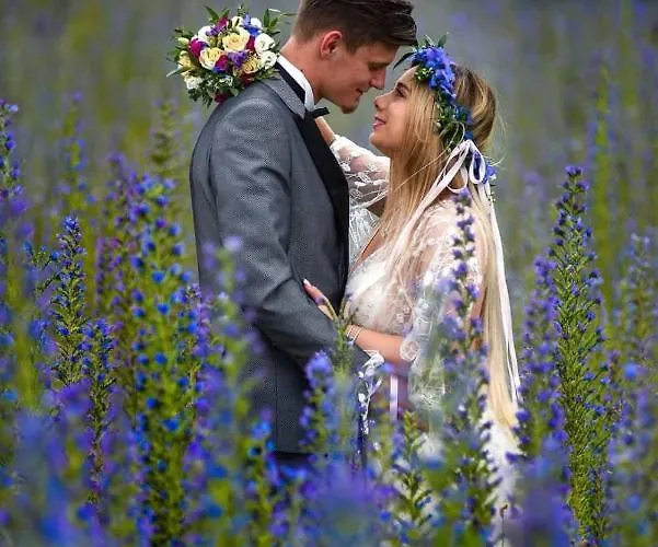 Dolina Miodu - Kaszuby, Sauna, Goraca Balia مزرعة للإقامة *