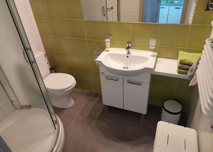 Dolina Miodu - Kaszuby, Sauna, Goraca Balia مزرعة للإقامة