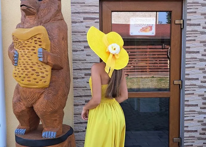 Dolina Miodu - Kaszuby, Sauna, Goraca Balia مزرعة للإقامة *