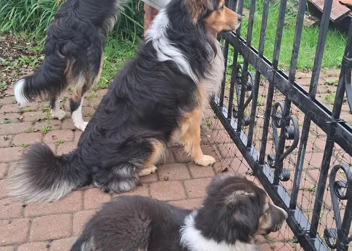 مزرعة للإقامة Dolina Miodu - Kaszuby, Sauna, Goraca Balia Borowina