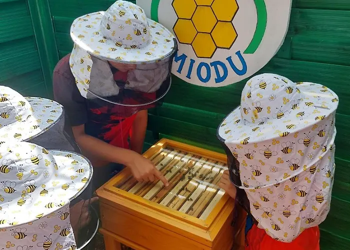 مزرعة للإقامة Dolina Miodu - Kaszuby, Sauna, Goraca Balia