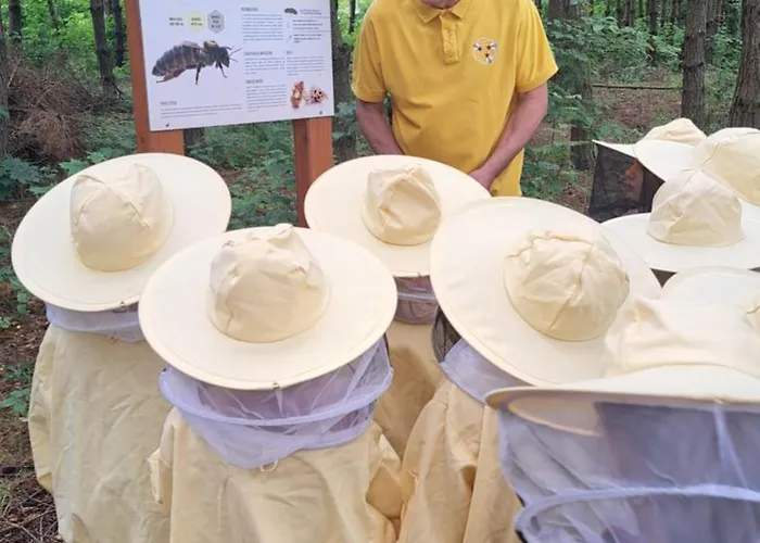 Dolina Miodu - Kaszuby, Sauna, Goraca Balia *