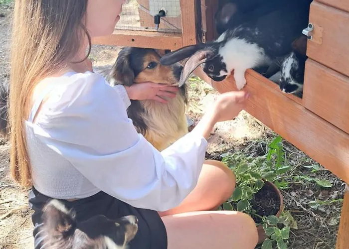 Dolina Miodu - Kaszuby, Sauna, Goraca Balia مزرعة للإقامة *