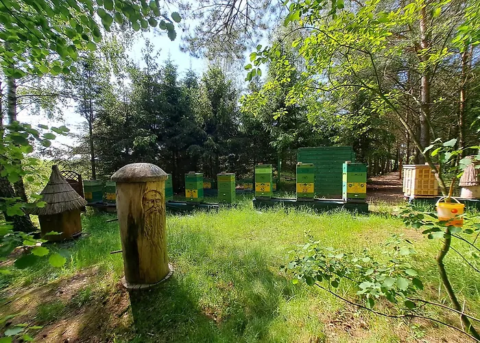 Dolina Miodu - Kaszuby, Sauna, Goraca Balia * Borowina