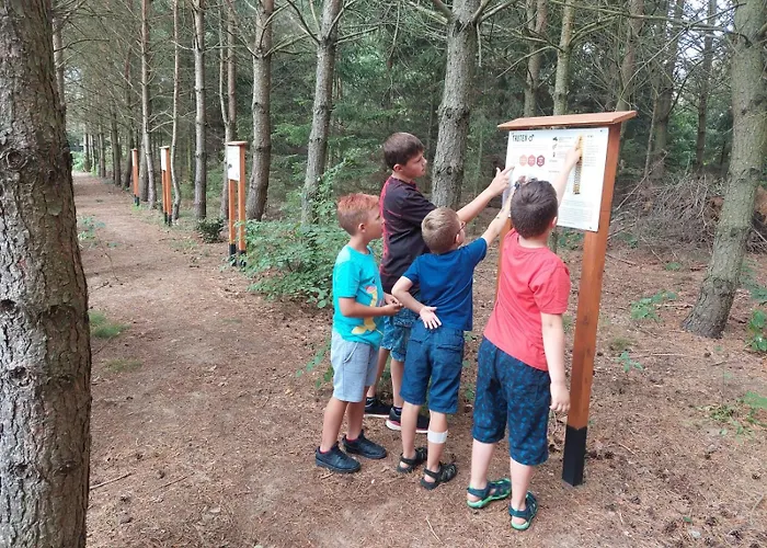 مزرعة للإقامة Dolina Miodu - Kaszuby, Sauna, Goraca Balia