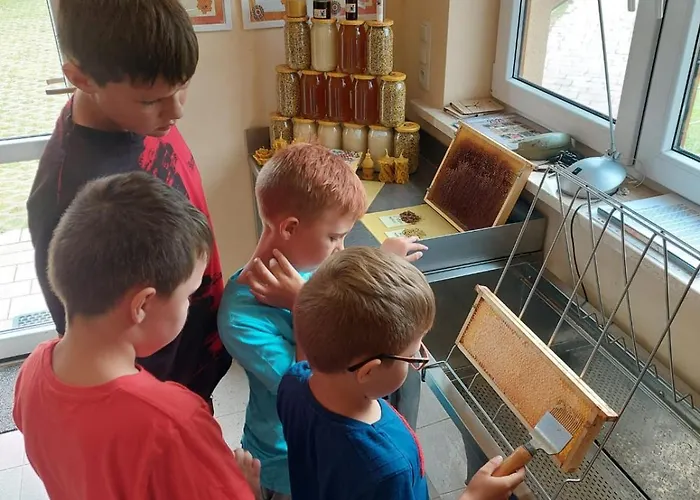 مزرعة للإقامة Dolina Miodu - Kaszuby, Sauna, Goraca Balia *